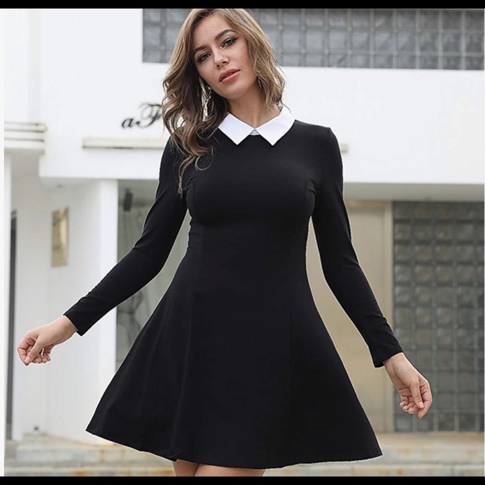 APHRATTI Peter Pan collared black dress size 2x